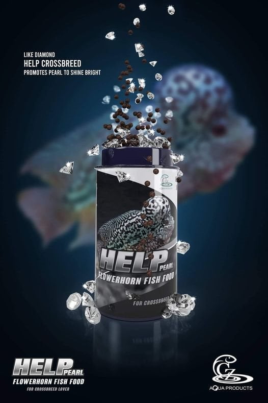 CZ Aqua Help for pearl 100g (Shiny pearls and strong fin tail)