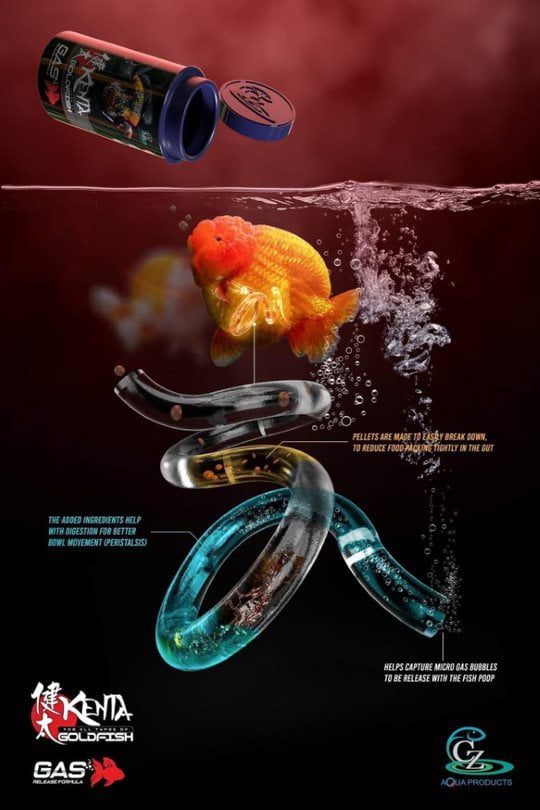 CZ Aqua Kenta releasing gas 150g/500g (Help goldfish to regain balance