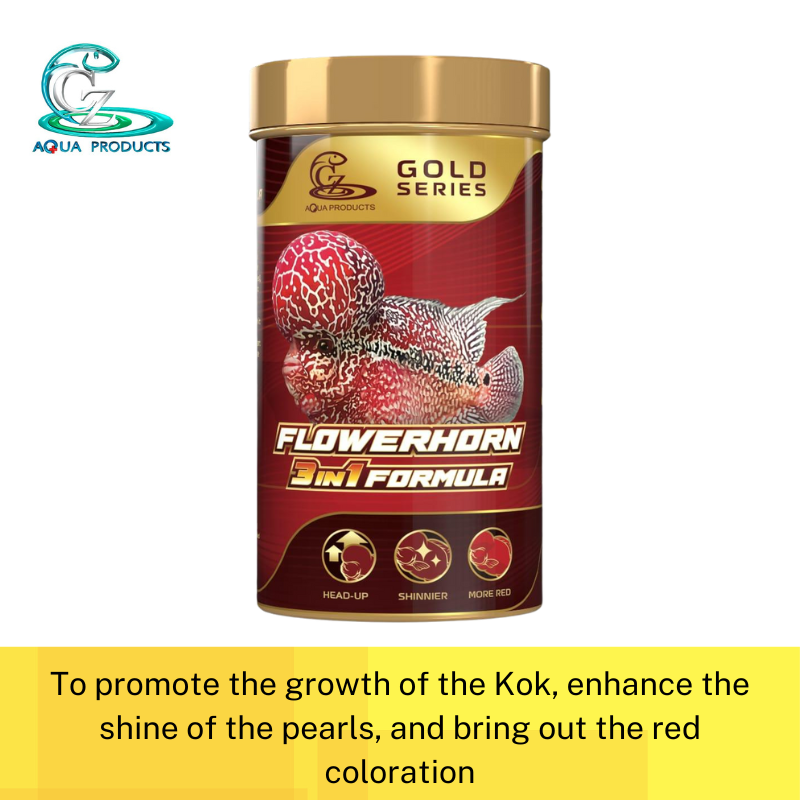 CZ Aqua GOLD 3in1 Flowerhorn 120g