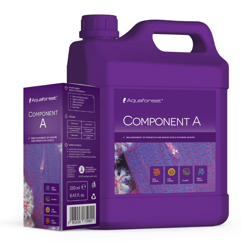 AF Component A 200ml