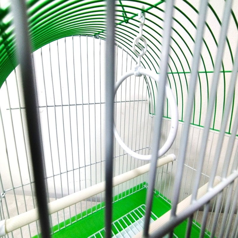 Dayang A100 Bird Cage