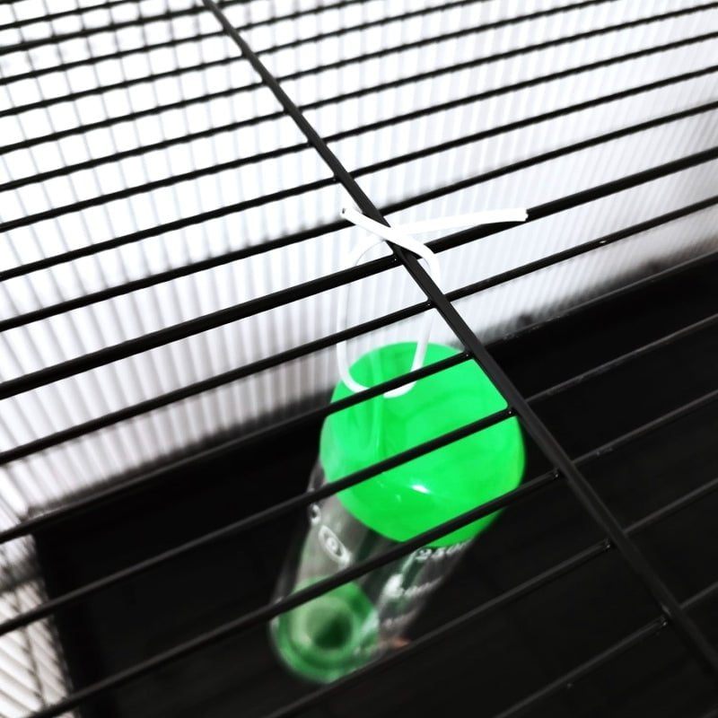 Dayang Nv1402 Water Bottle