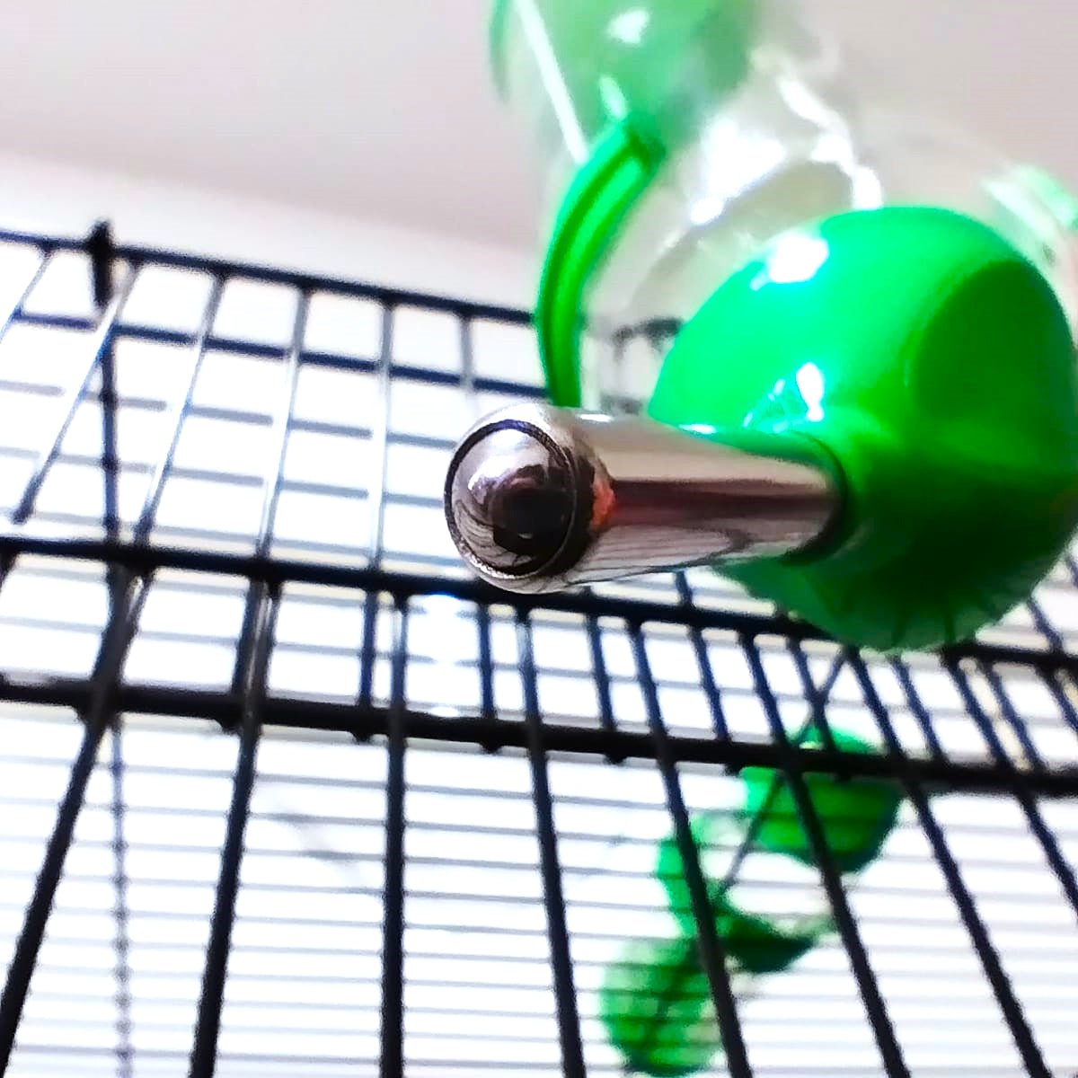 Dayang Nv1402 Water Bottle