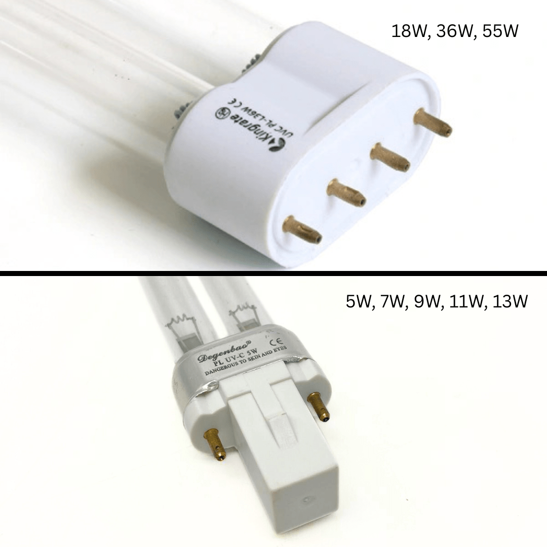 KINGRATE PL UV Replacement