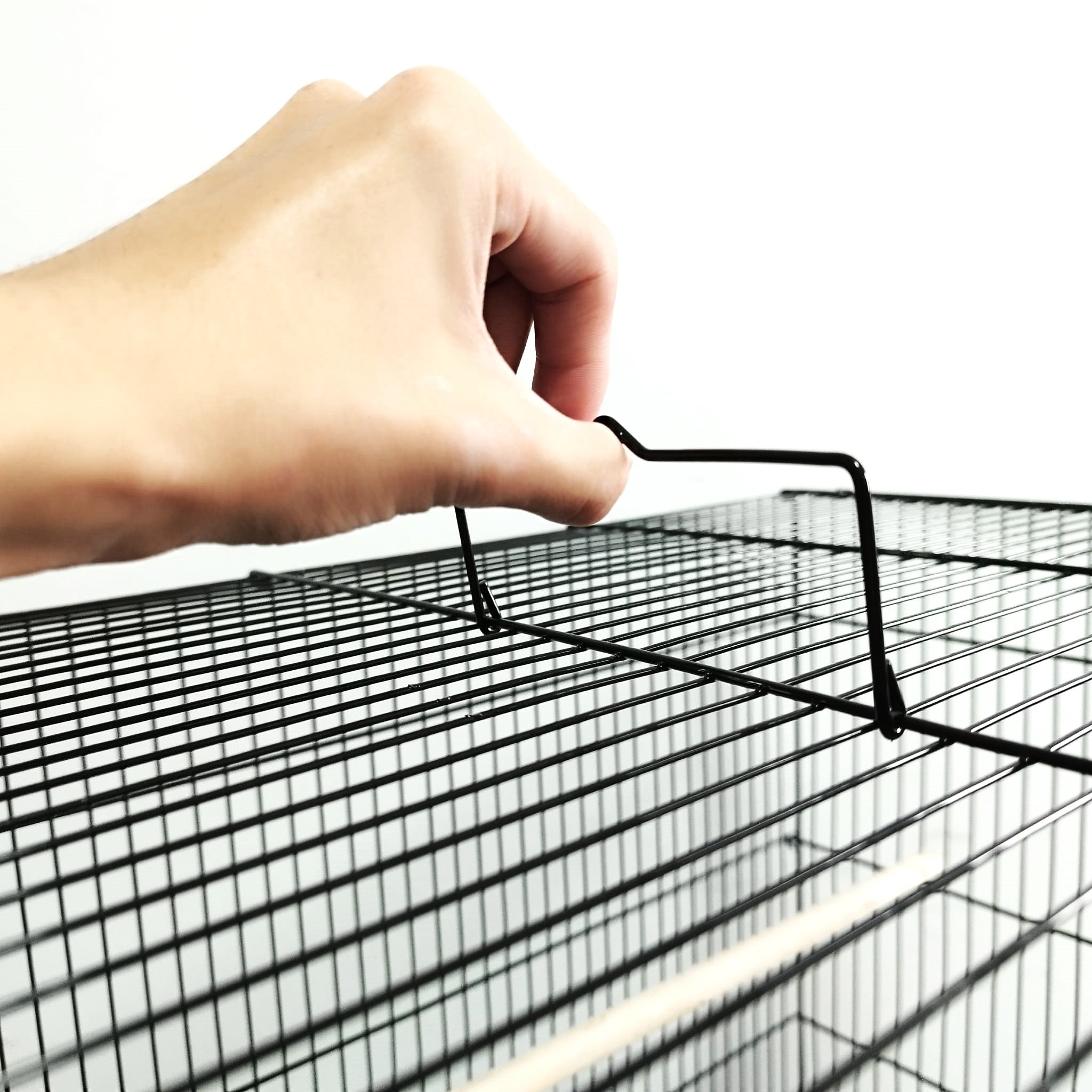 Dayang 601 Bird Cage