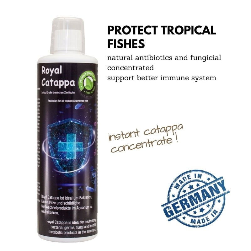 DiscusFood Royal Catappa (Heals & Reduces Diseases / Infections)