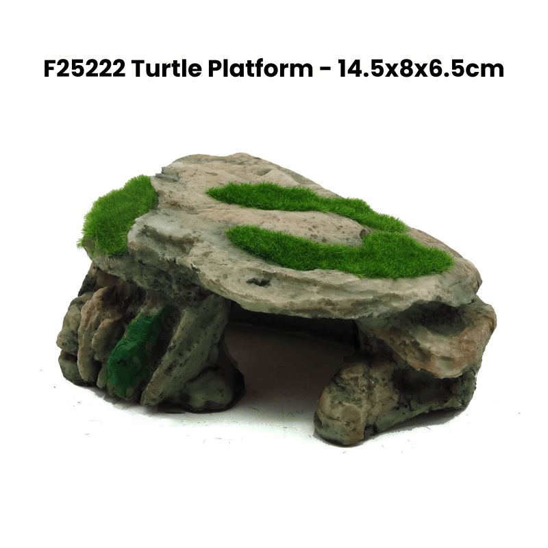 Zz F25222 Turtle Platform Deco Green