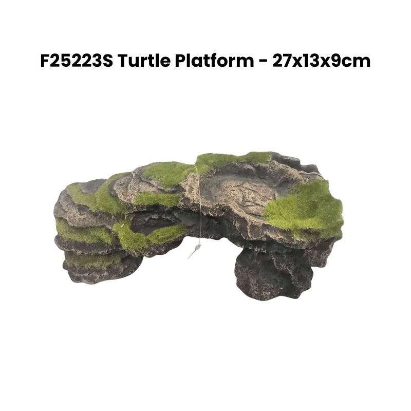 Zz F25223S Turtle Platform Deco Green
