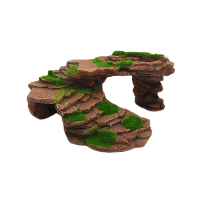 Zz F3050 Turtle Platform Deco Green