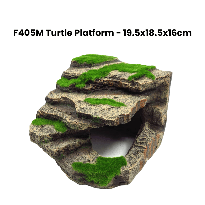 Zz F405M Turtle Platform Stand Deco Green