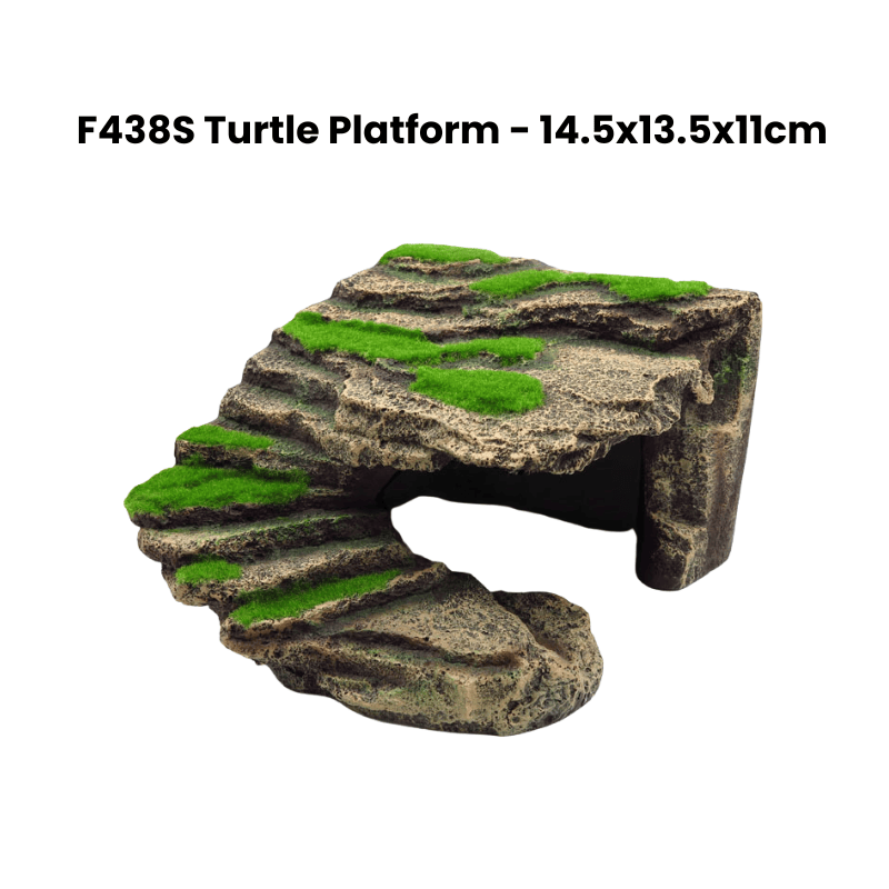 Zz F438S Turtle Platform Deco Green