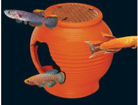 UP AQUA Deco (Various Design)