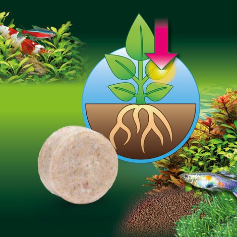 JBL FerroTabs - Fertiliser Iron Tabs (30 Tabs)