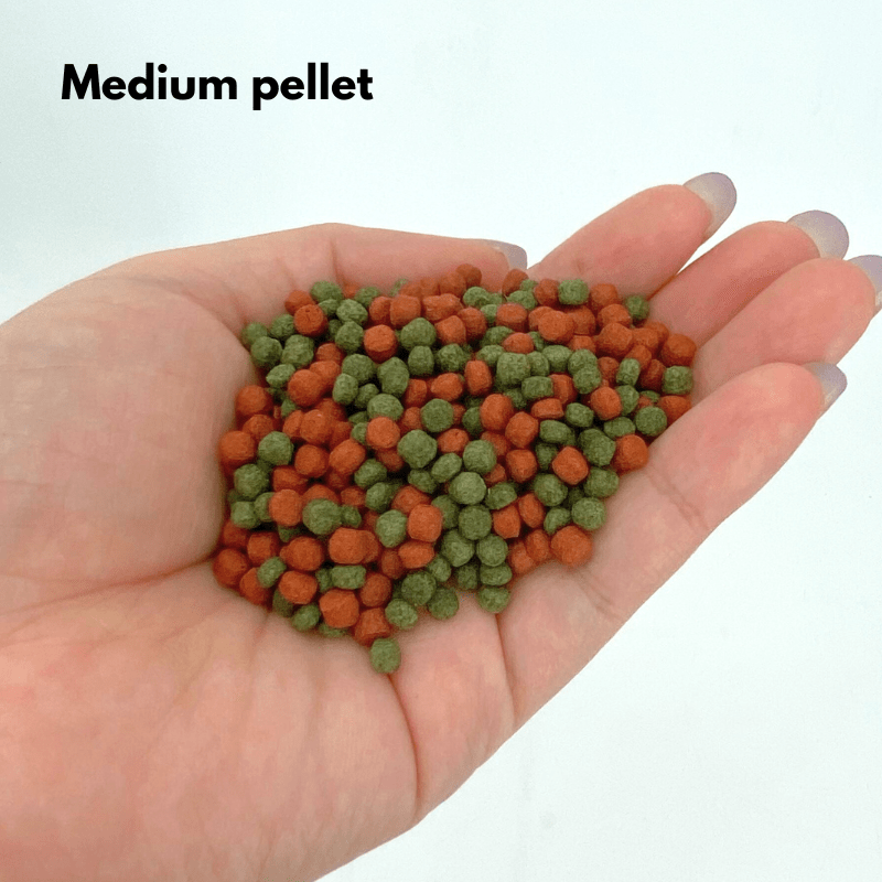 ANS Fish Feed (MIX COLOURED) small/medium 1000g