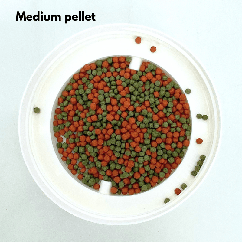 ANS Fish Feed (MIX COLOURED) small/medium 1000g