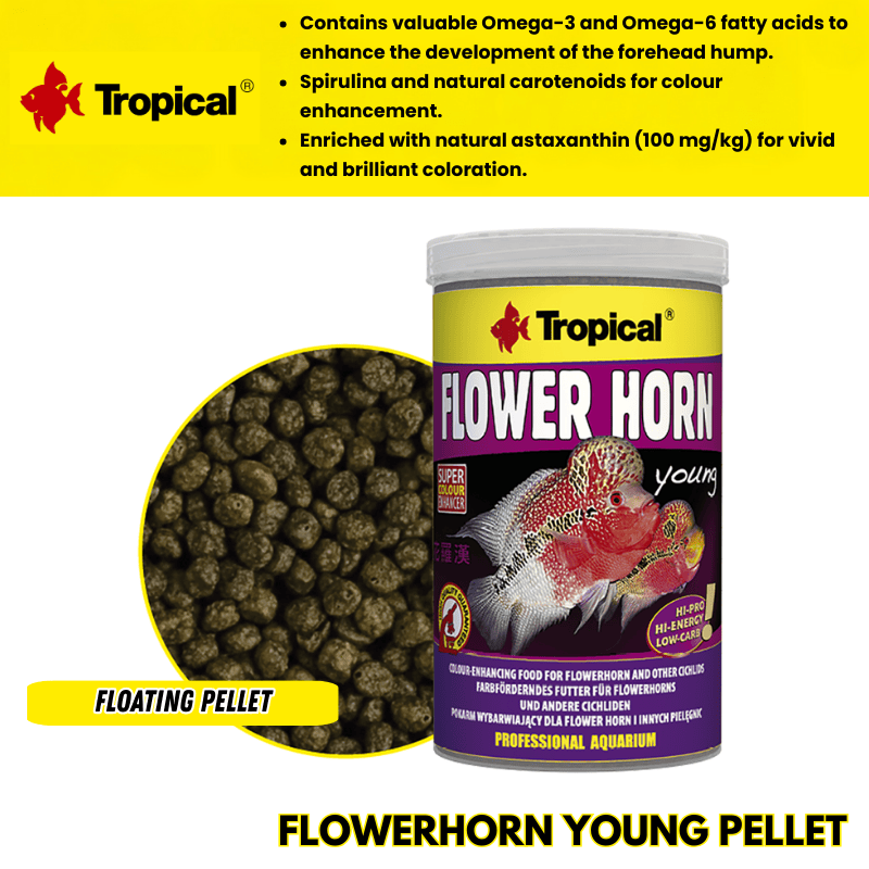 Tropical Flower Horn Young Pellet (colour enhancing)