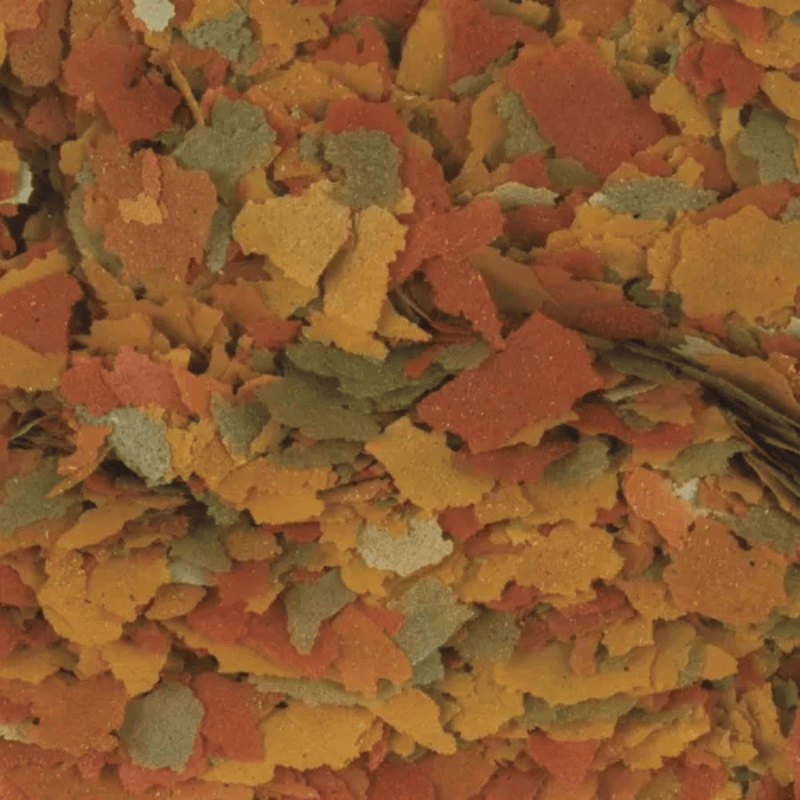 Tropical Goldfish Color Flakes (coloration with digestion)