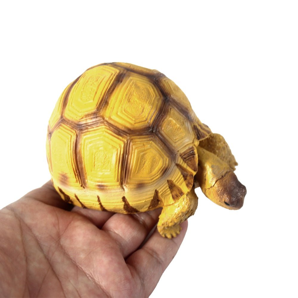 NOMOYPET A4 Turtle Decoration/Prop