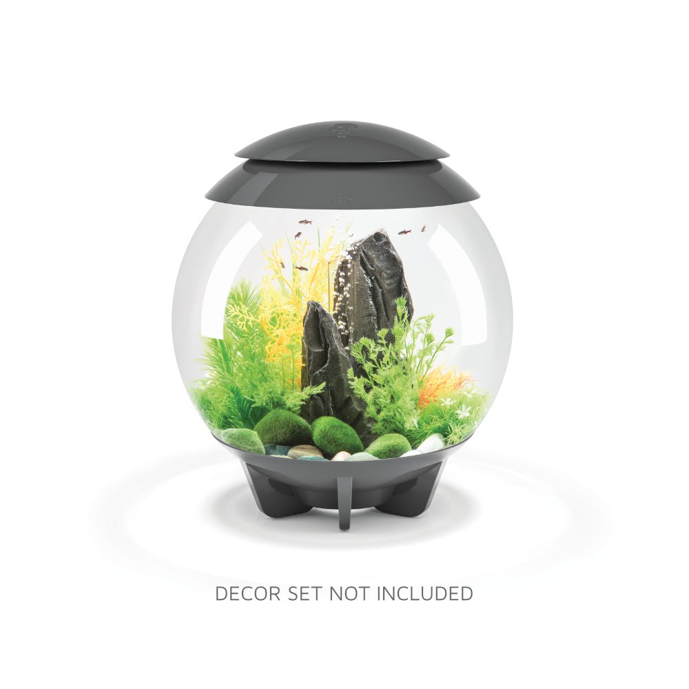 biOrb HALO 30 Aquarium (MCR - Multi-Color Remote)