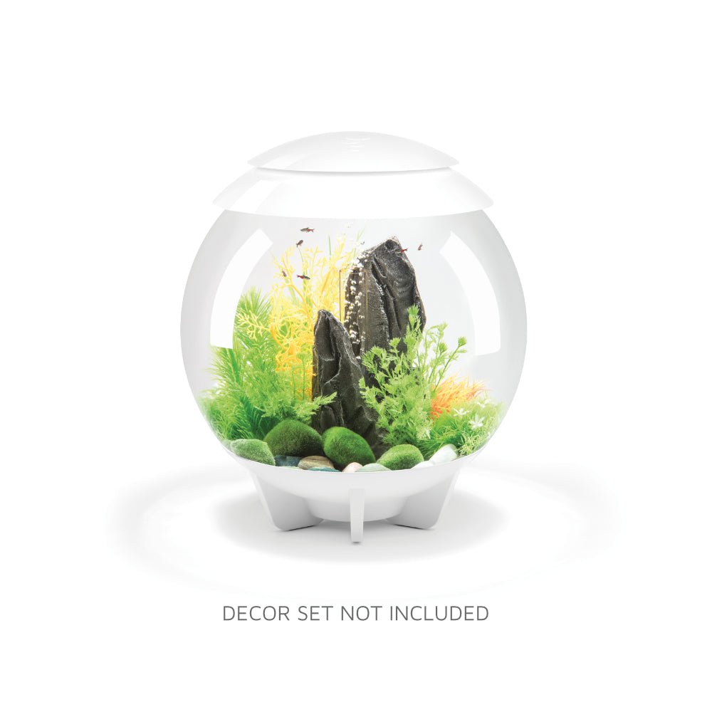 biOrb HALO 30 Aquarium (MCR - Multi-Color Remote)