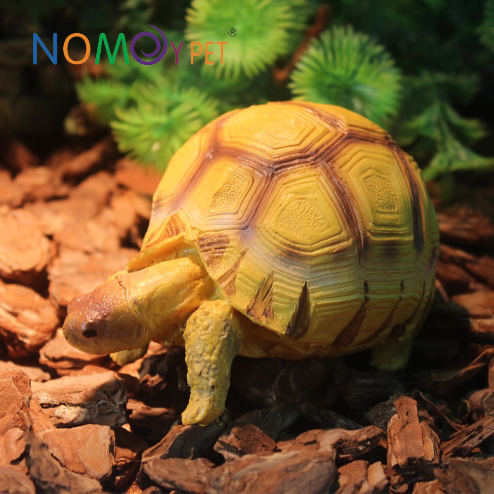 NOMOYPET A4 Turtle Decoration/Prop