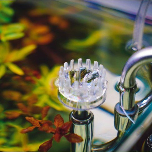 LITIAQUARIA Stainless Steel Surface Cleaner (9/ 12/ 16mm)