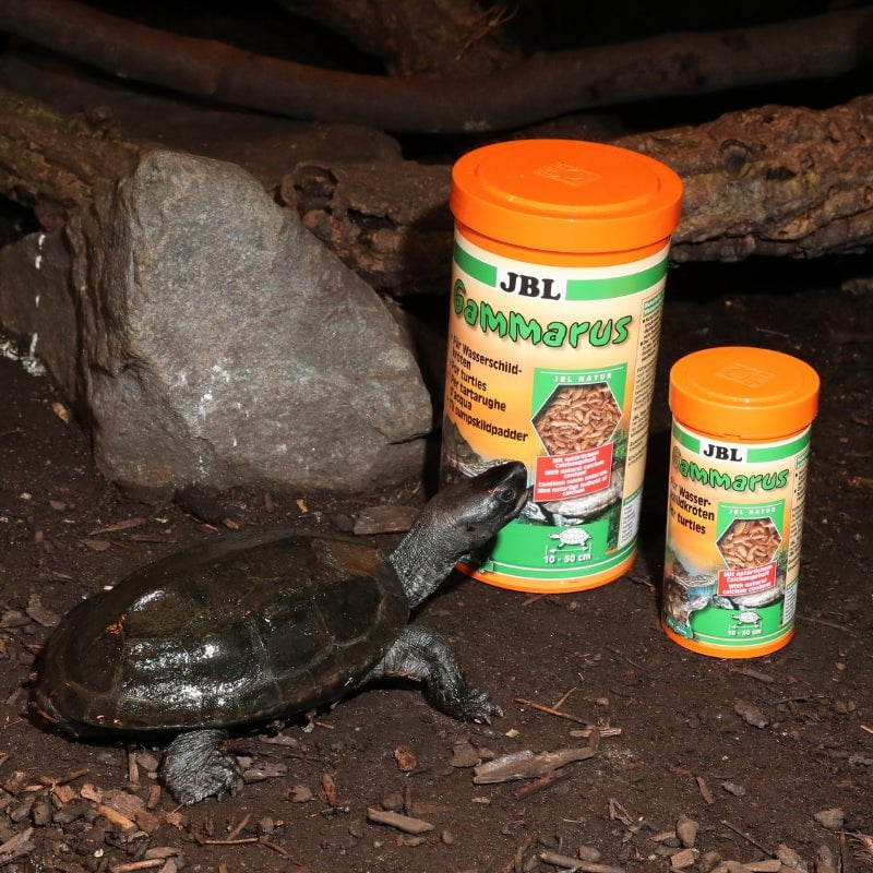 JBL Gammarus Shrimp (250 / 1000ml)