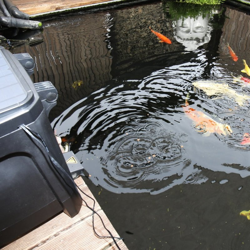 JBL PROPOND AutoFood (Weatherproof Solar Feeder For All Koi And Pond F