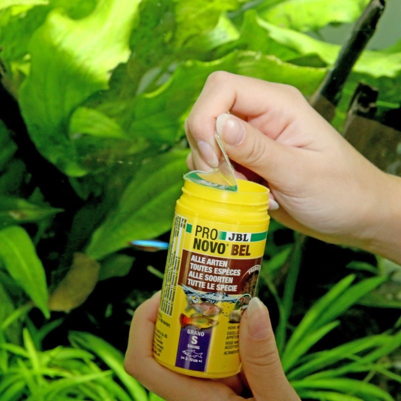 JBL ProNovo Bel Grano S (Granulates For Fishes)