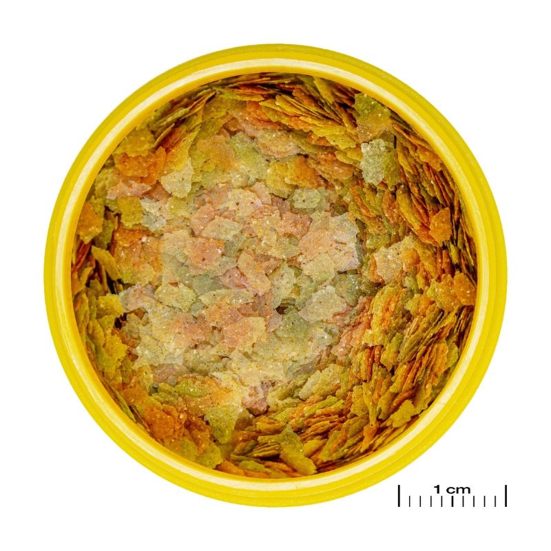 JBL ProNovo Betta Flakes S (For All Fishes)