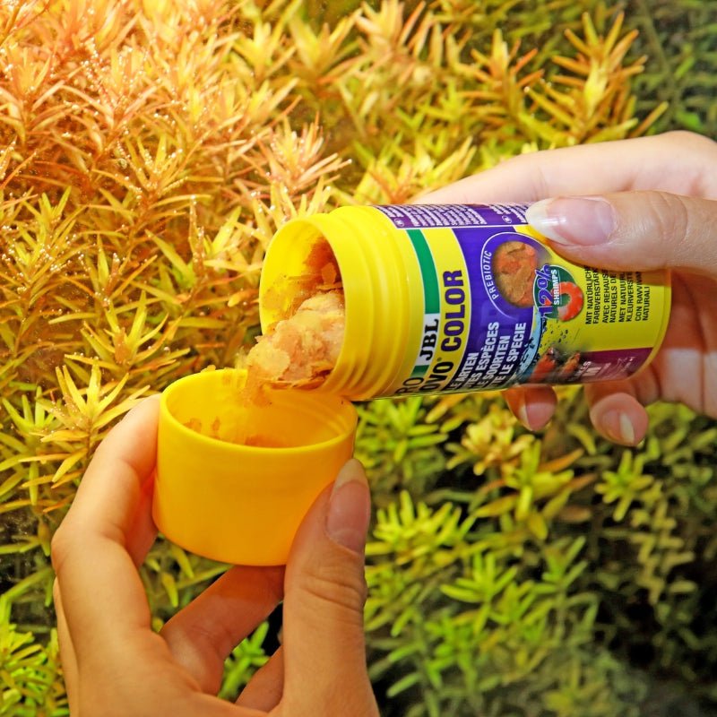 JBL ProNovo Color Flakes M (Colour Enchancing Flakes for Tropical Fish