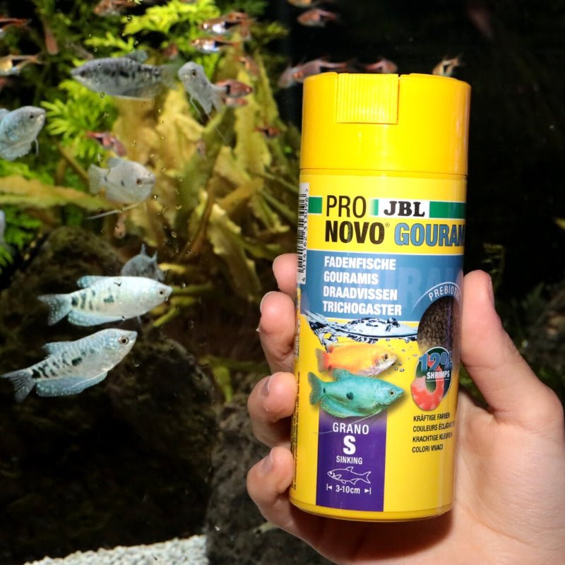 JBL ProNovo Gourami Grano S (Colour Enhancing Diet)