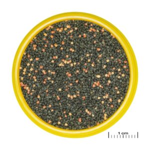 JBL ProNovo Guppy Grano S (Colour Enhancing Granules)