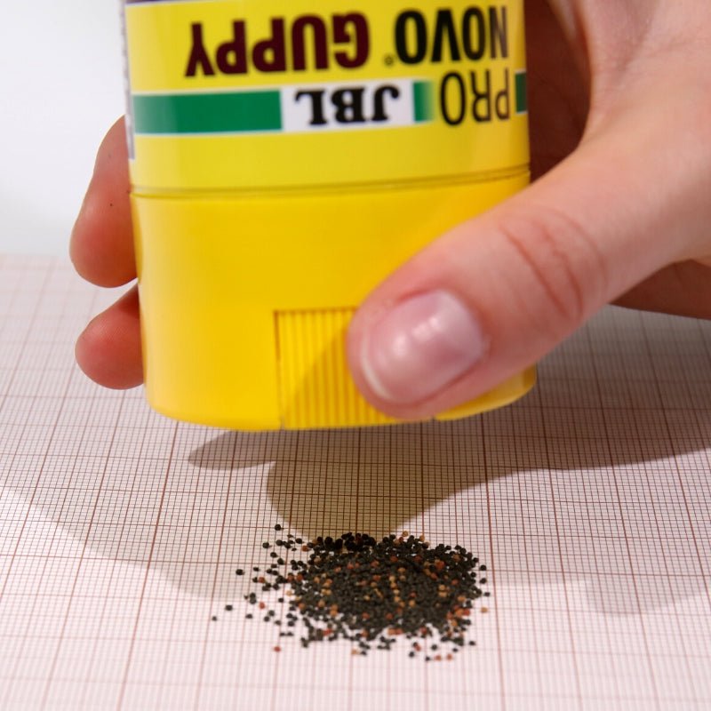 JBL ProNovo Guppy Grano S (Colour Enhancing Granules)