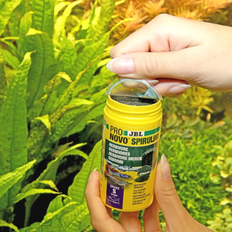 JBL ProNovo Spirulina Grano S / M (High Quality Spirulina Diet)