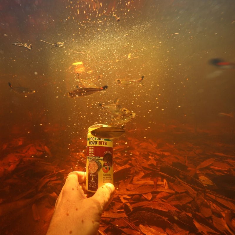 JBL Pronovo Bits Grano S (Discus feed)