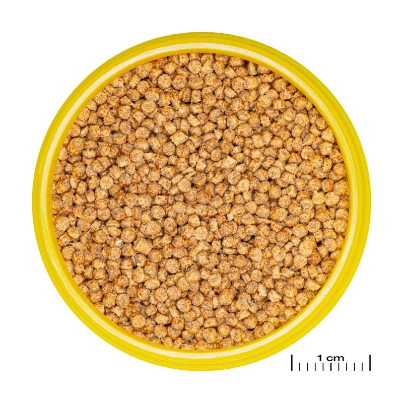 JBL Pronovo Cichlid Grano S