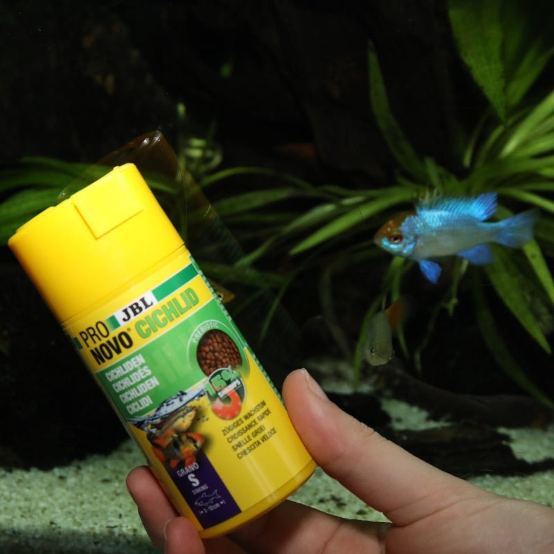 JBL Pronovo Cichlid Grano S