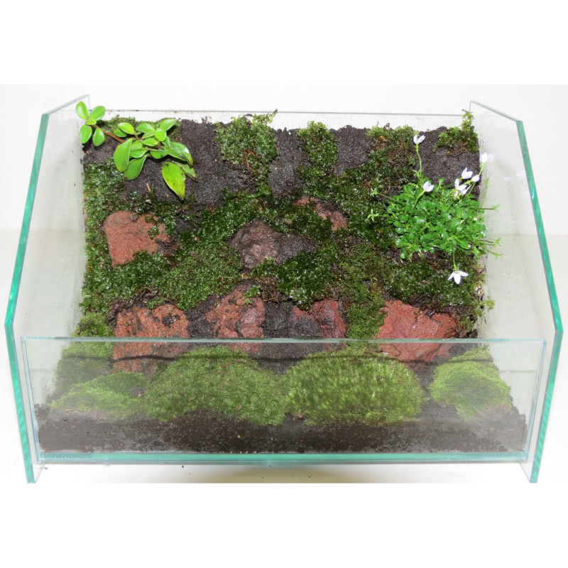 JUN Modeling Soil 1L (for Terrariums & Kokedama)