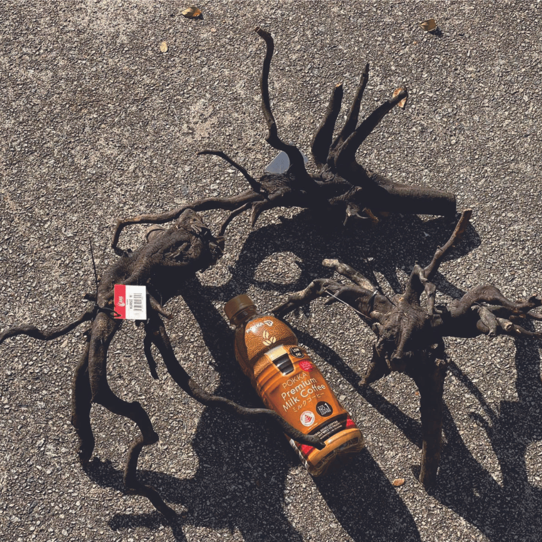 ANS Kusri Driftwood (Random Pick)