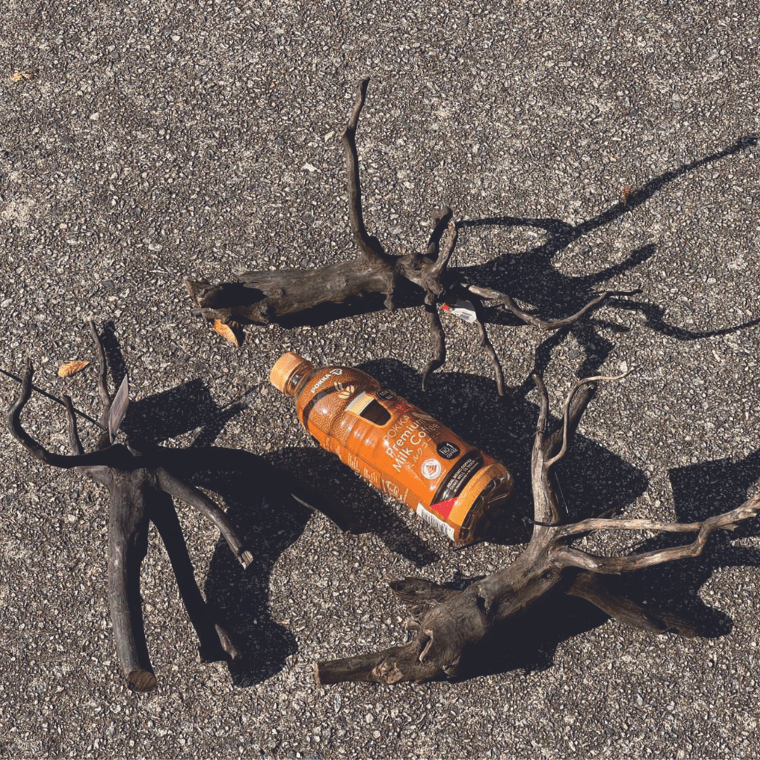 ANS Kusri Driftwood (Random Pick)