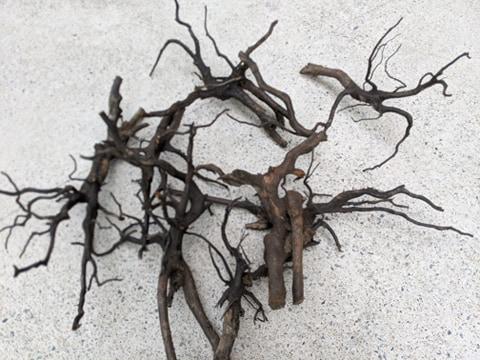 ANS Kusri Driftwood (Random Pick)