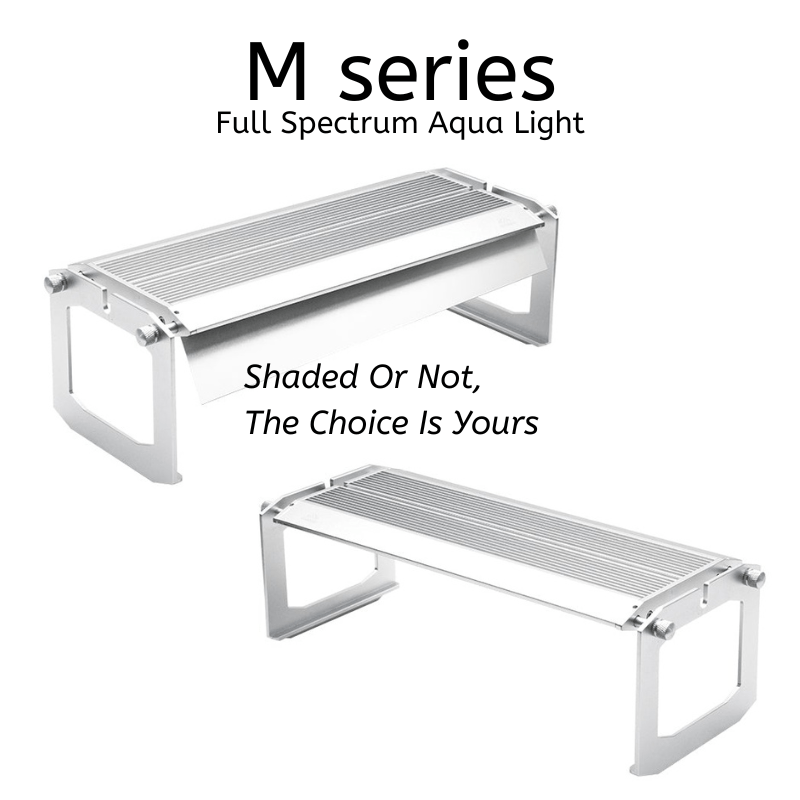 Week Aqua MD - Series Pro light (60 - 120cm)