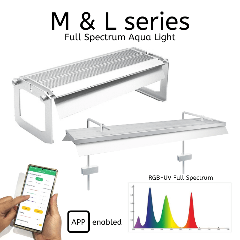 Week Aqua - Light Shades (L/M/P/Z - Series)