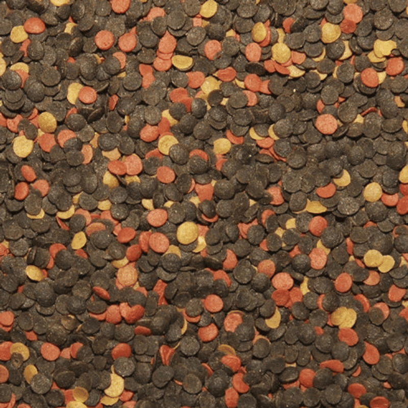 Tropical Malawi Chips (sinking veg chips)