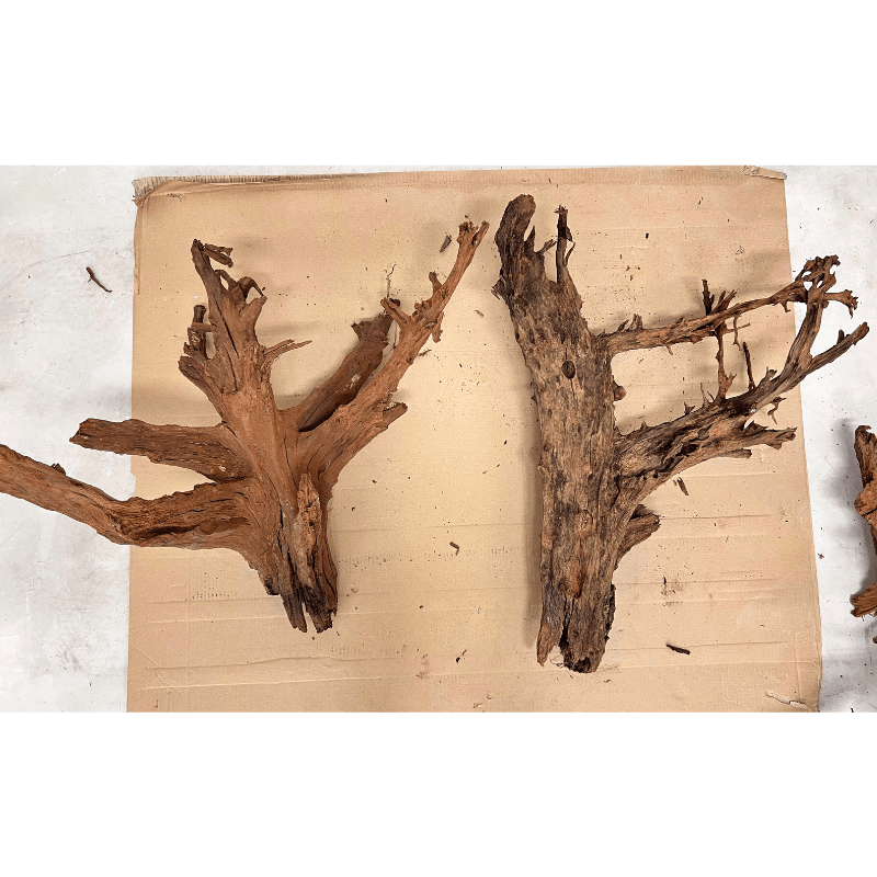ANS Malayan Aquascape Driftwood XXL (70-80cm)
