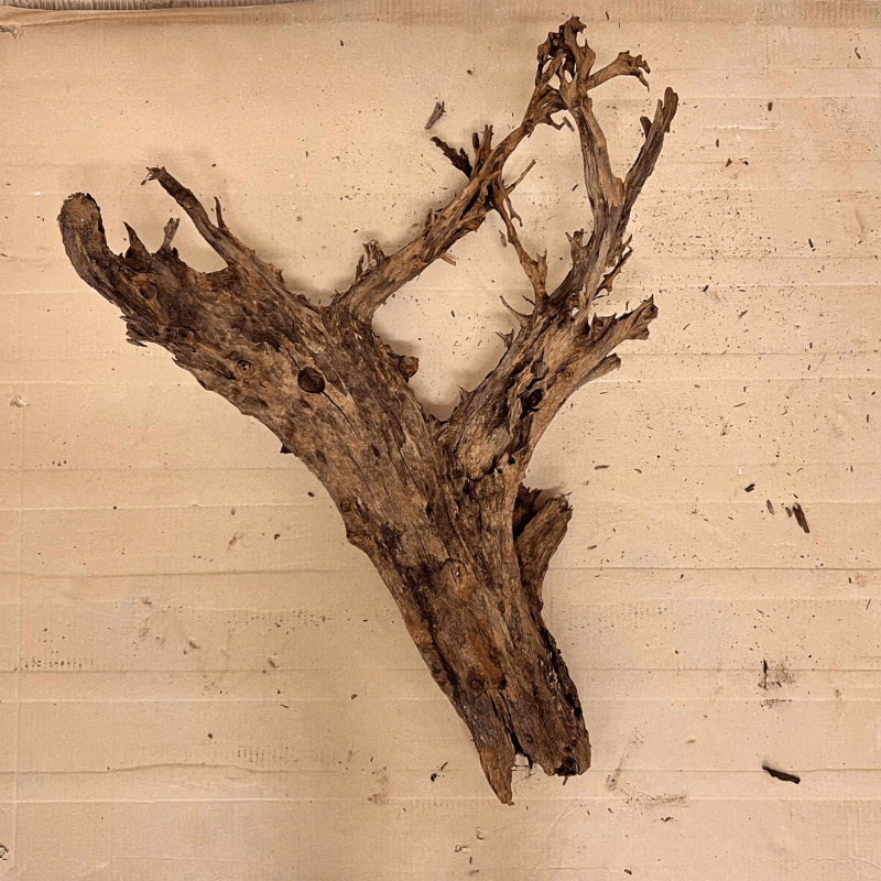 ANS Malayan Aquascape Driftwood XXL (70-80cm)