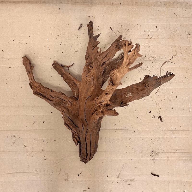 ANS Malayan Aquascape Driftwood XXL (70-80cm)