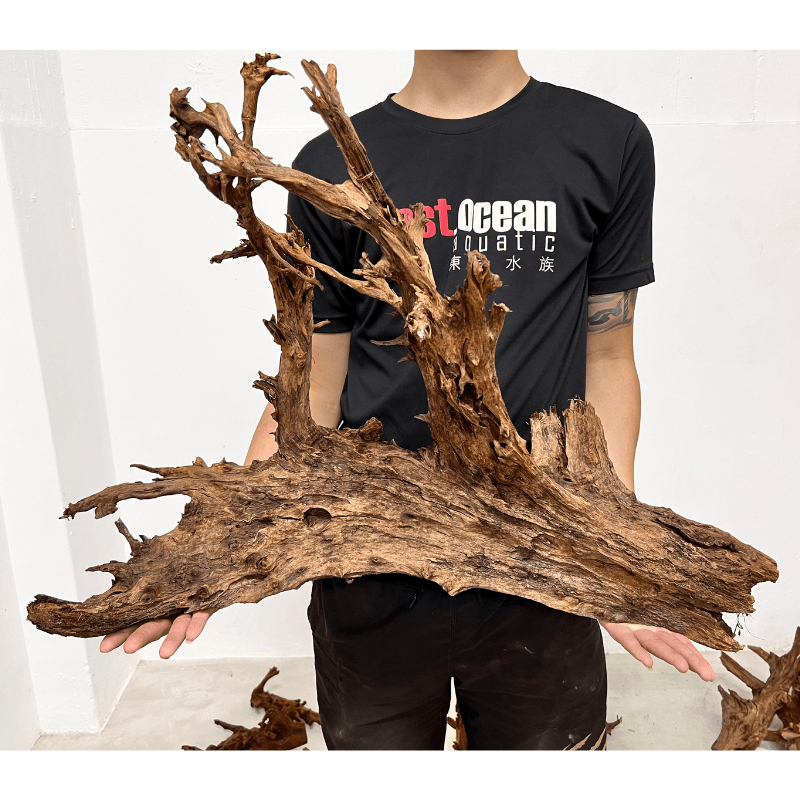 ANS Malayan Aquascape Driftwood XXL (70-80cm)