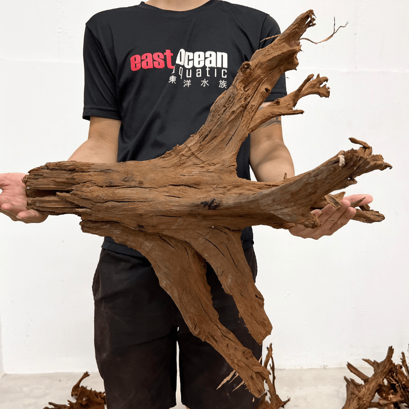 ANS Malayan Aquascape Driftwood XXL (70-80cm)